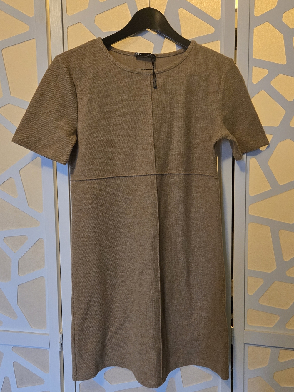 Zara | Mini Dress